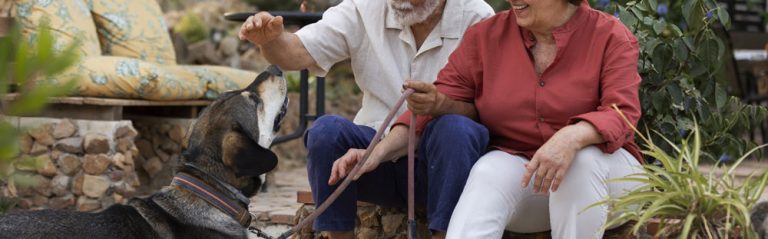 mascotas-para-personas-mayores